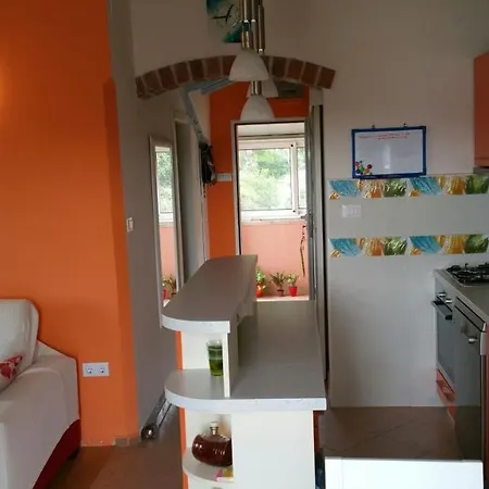 Tri Palme Prvic Sepurine